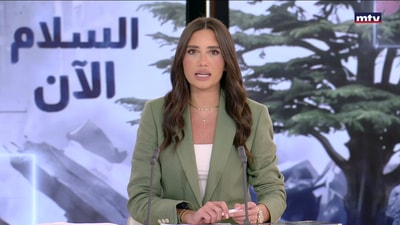 الواقع الأمني المحلي