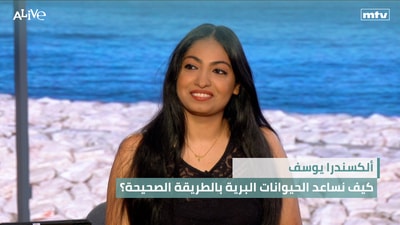 Alexandra Youssef - How do we help wild animals the right way? - Video Of The Day