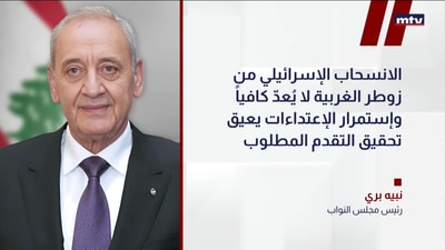 رئيس مجلس النواب نبيه بري