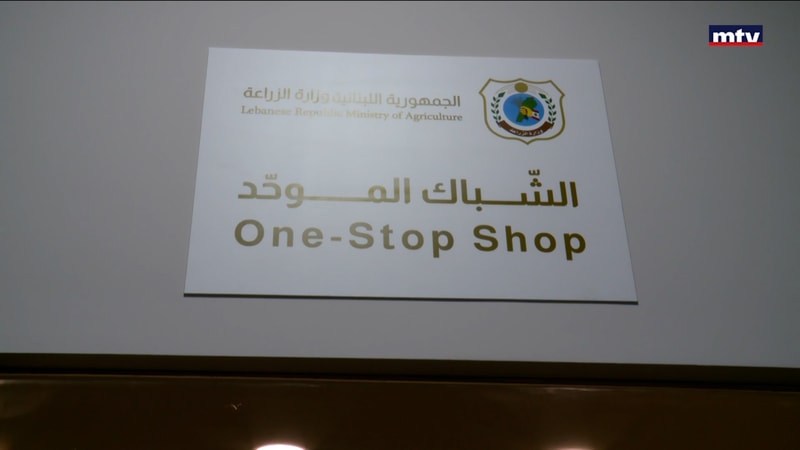 النشرة الكاملة