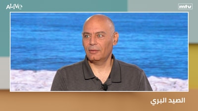الصيد البري