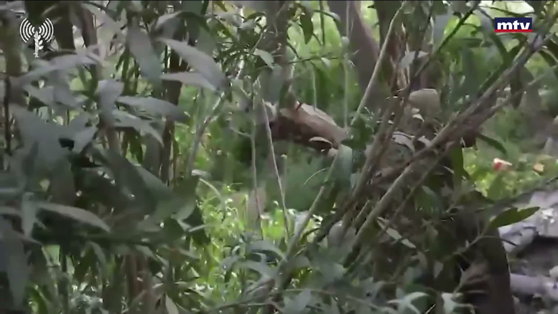 بين التصعيد الميداني والقرار السياسي
