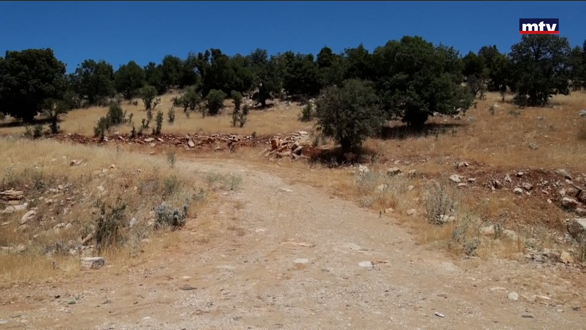 حدود جديدة بين لبنان وسوريا