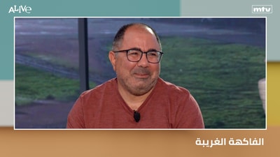 الفاكهة الغريبة