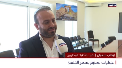 الكلاب الشاردة