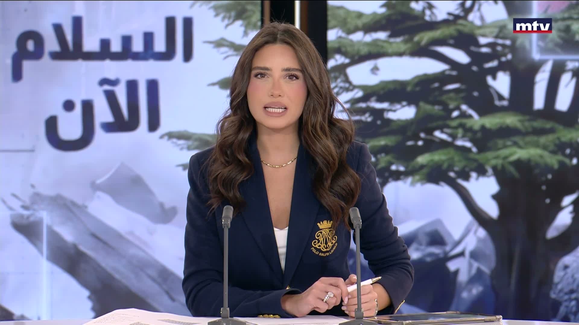 رفع رئيس مجلس النواب نبيه بري الجلسة إلى الساعة السادسة مساء