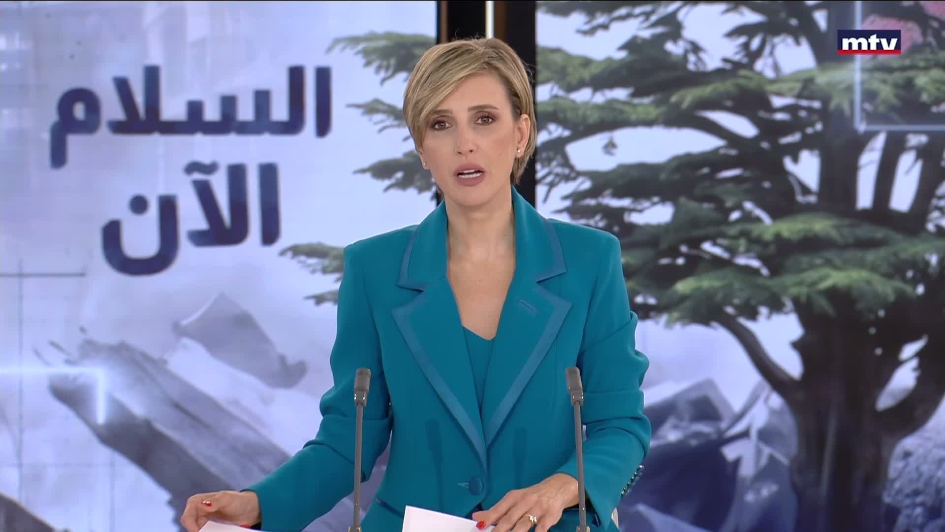 رئيس البرلمان نبيه بري