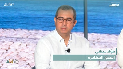 Fouad Itani - Migratory Birds