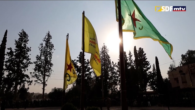 النشرة الكاملة