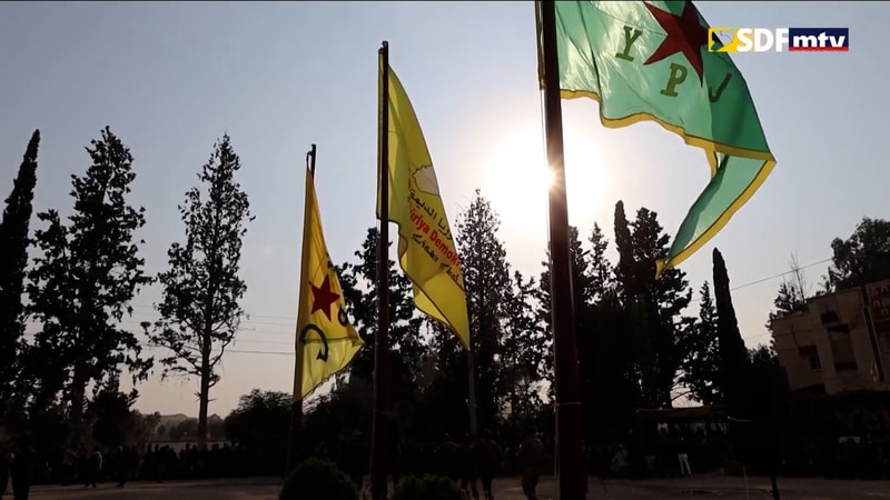 النشرة الكاملة