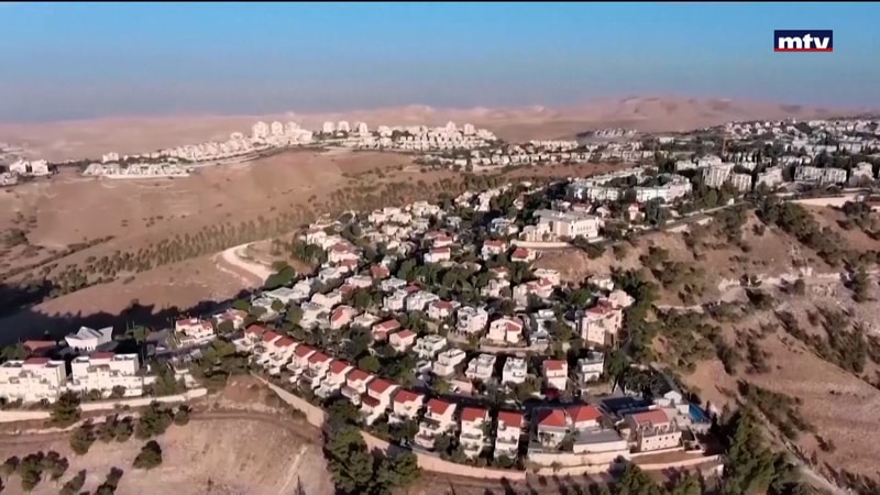 النشرة الكاملة