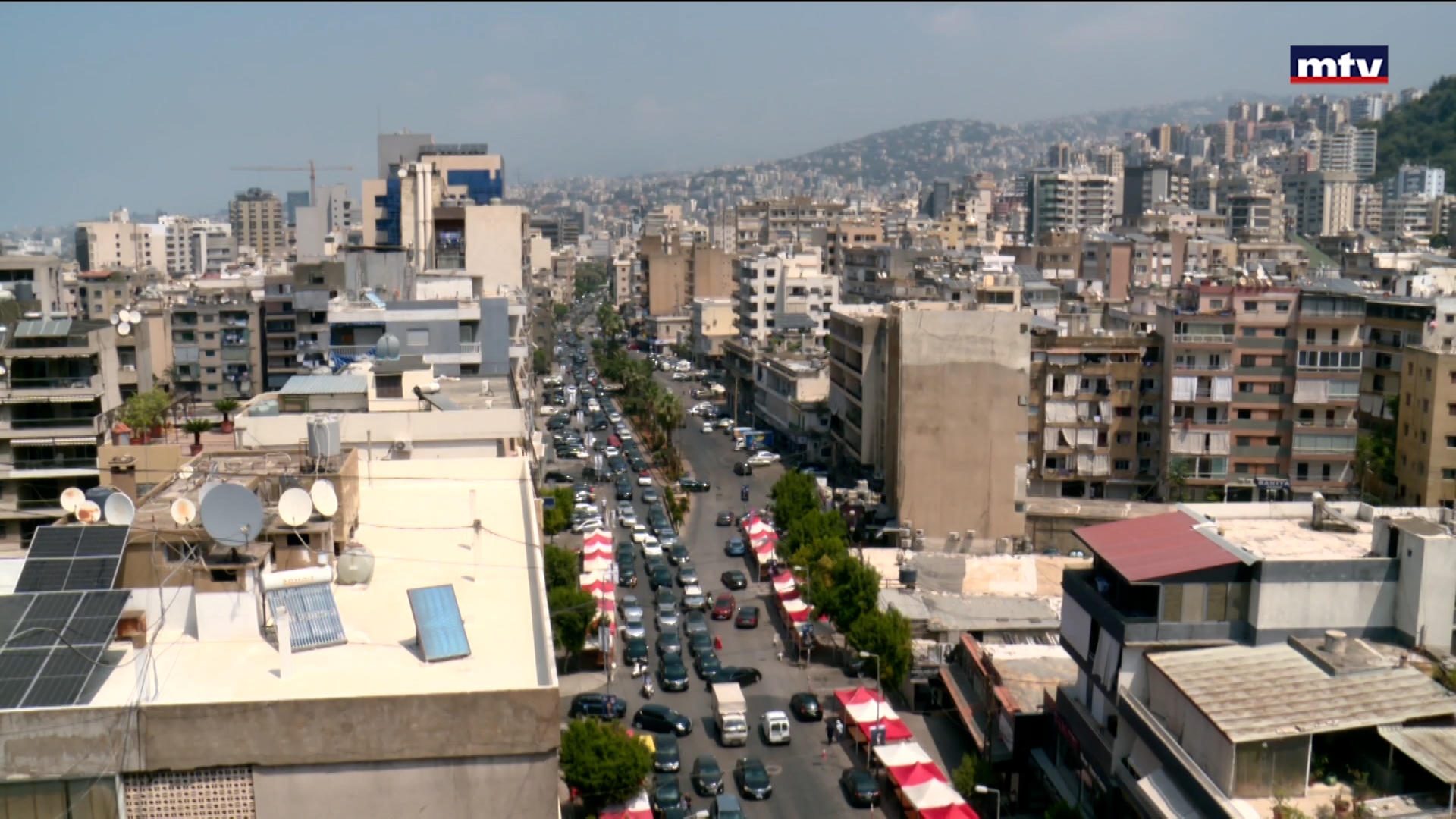الزلقا تنبض بالحياة