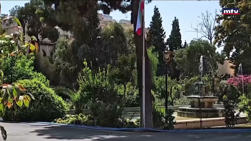 النشرة الكاملة