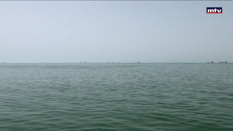 النشرة الكاملة