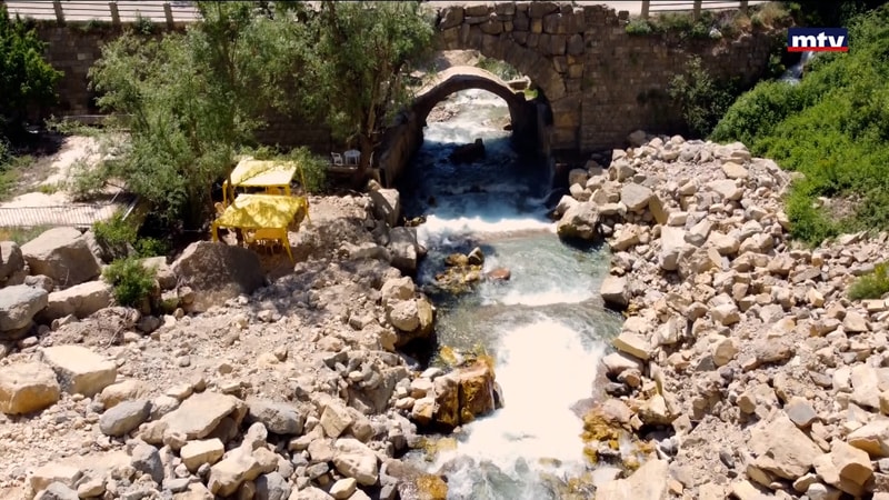 النشرة الكاملة