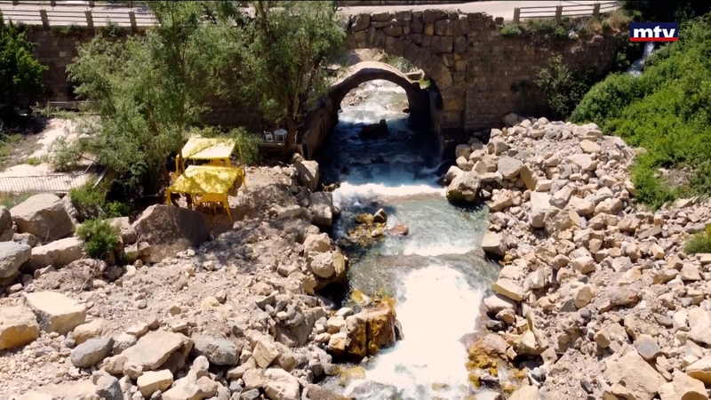 النشرة الكاملة