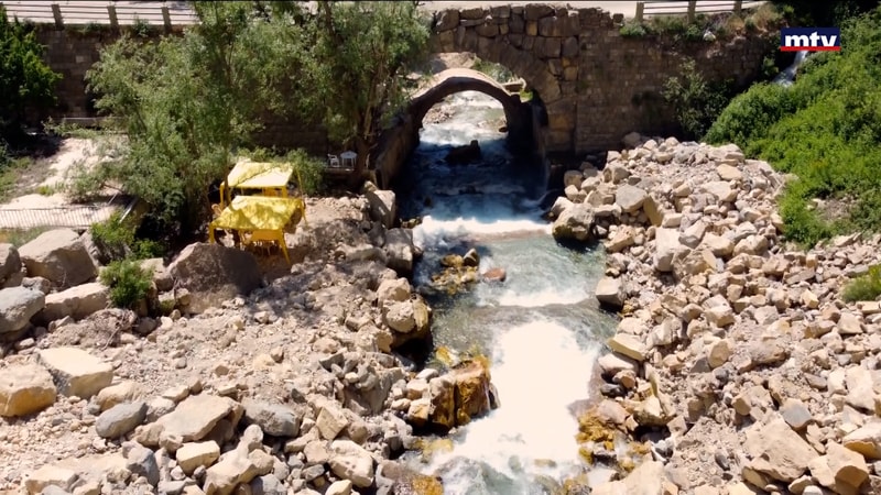 النشرة الكاملة