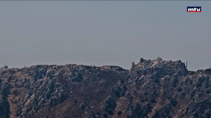 النشرة الكاملة