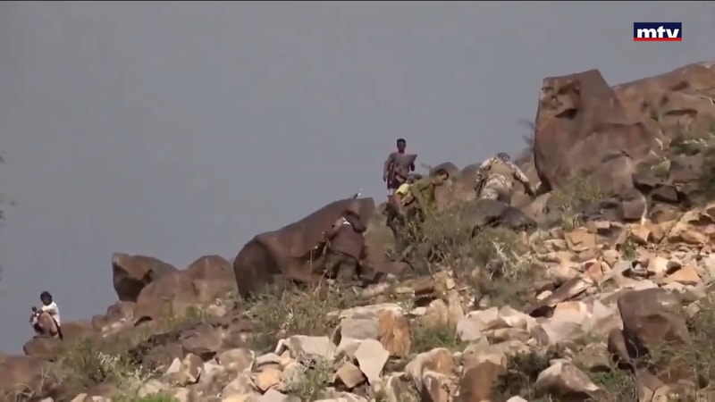 النشرة الكاملة
