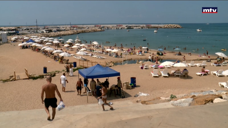 النشرة الكاملة