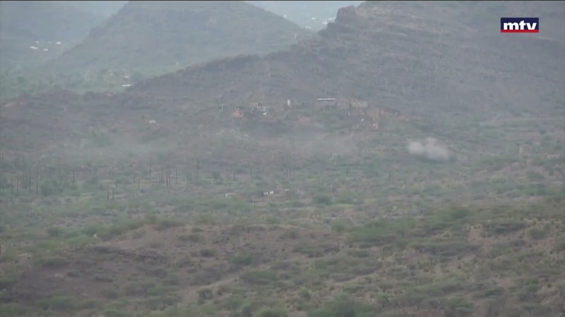 النشرة الكاملة