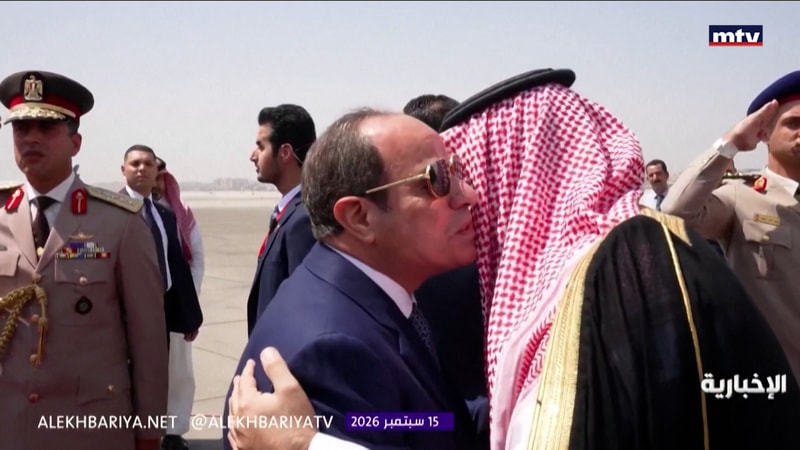 النشرة الكاملة