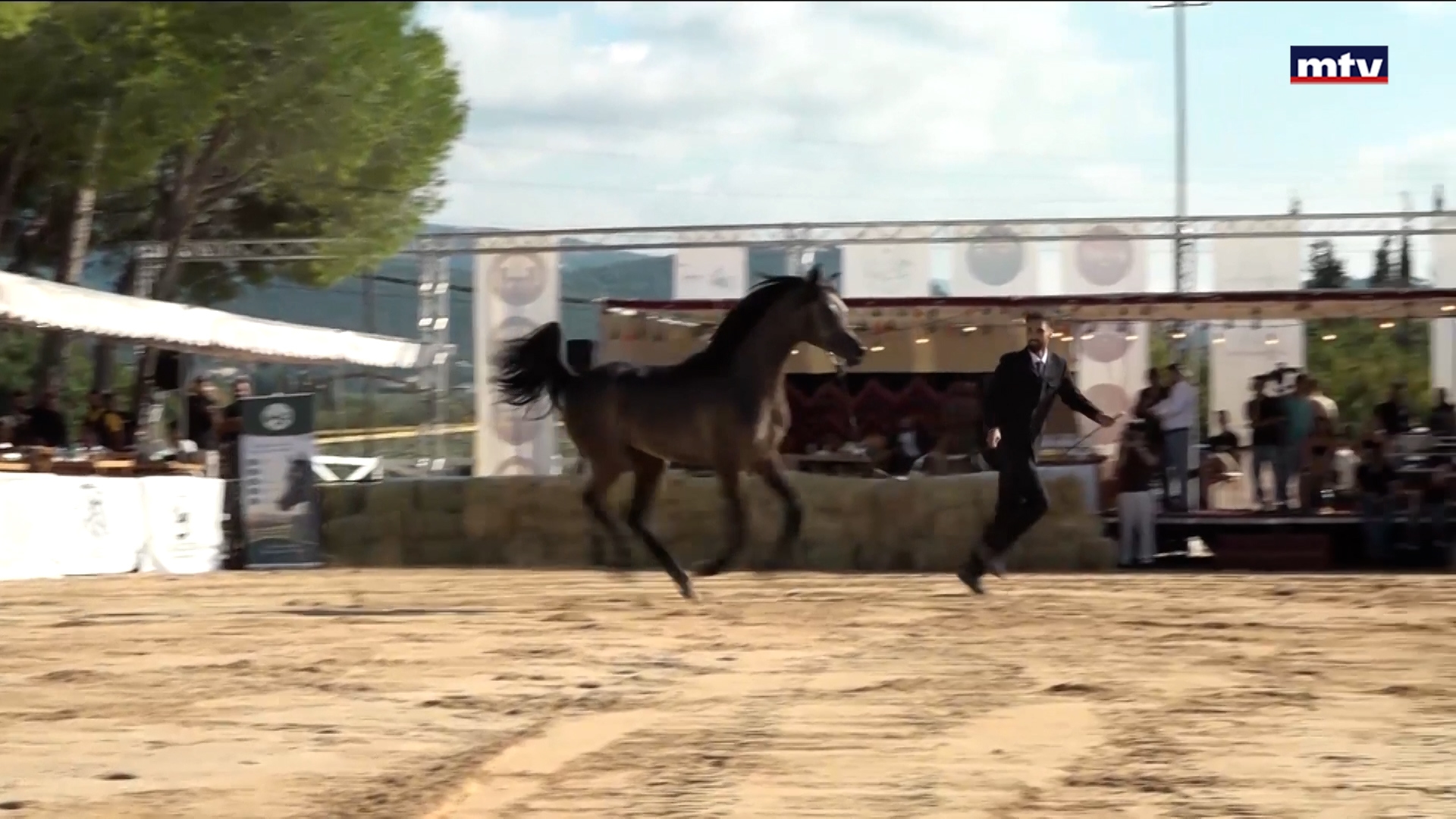 بطولة لبنان المفتوحة للخيل العربية الأصيلة