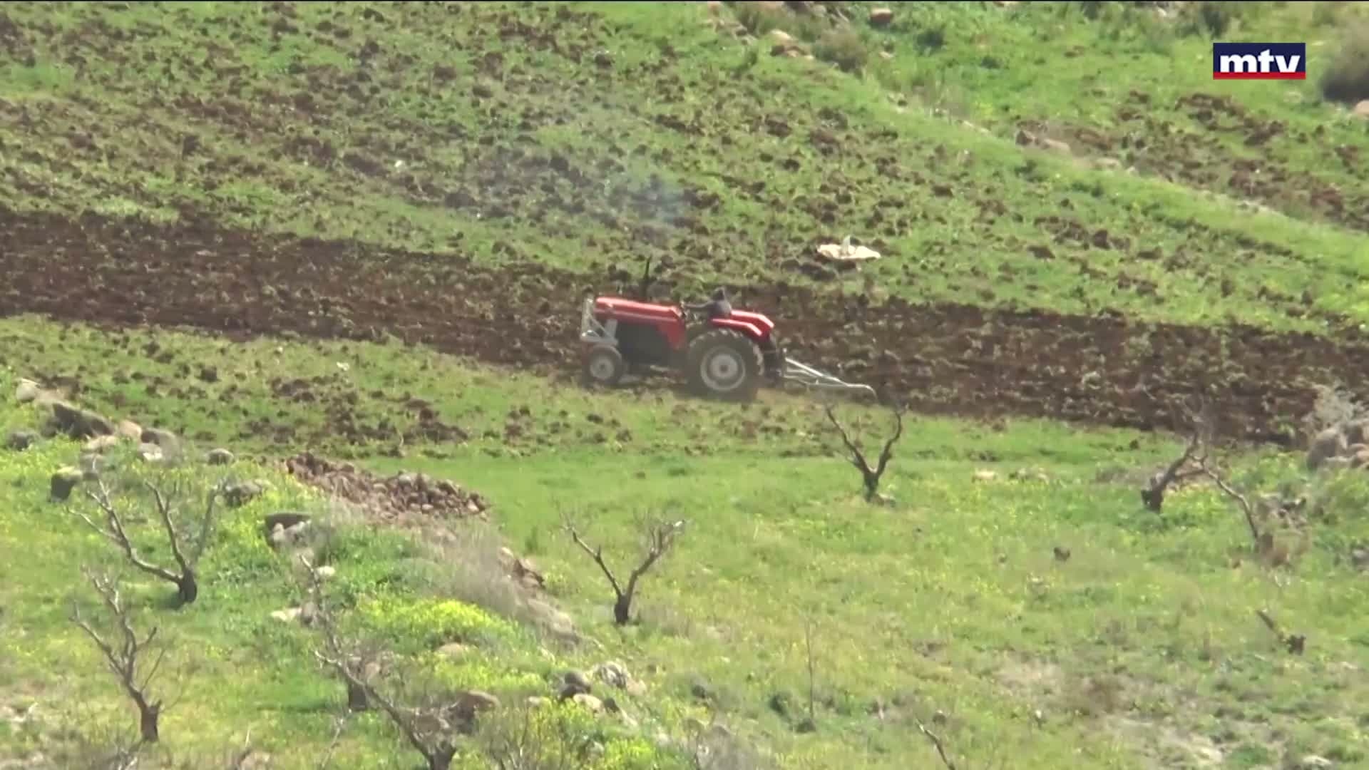 من الجبهة إلى الزيتون