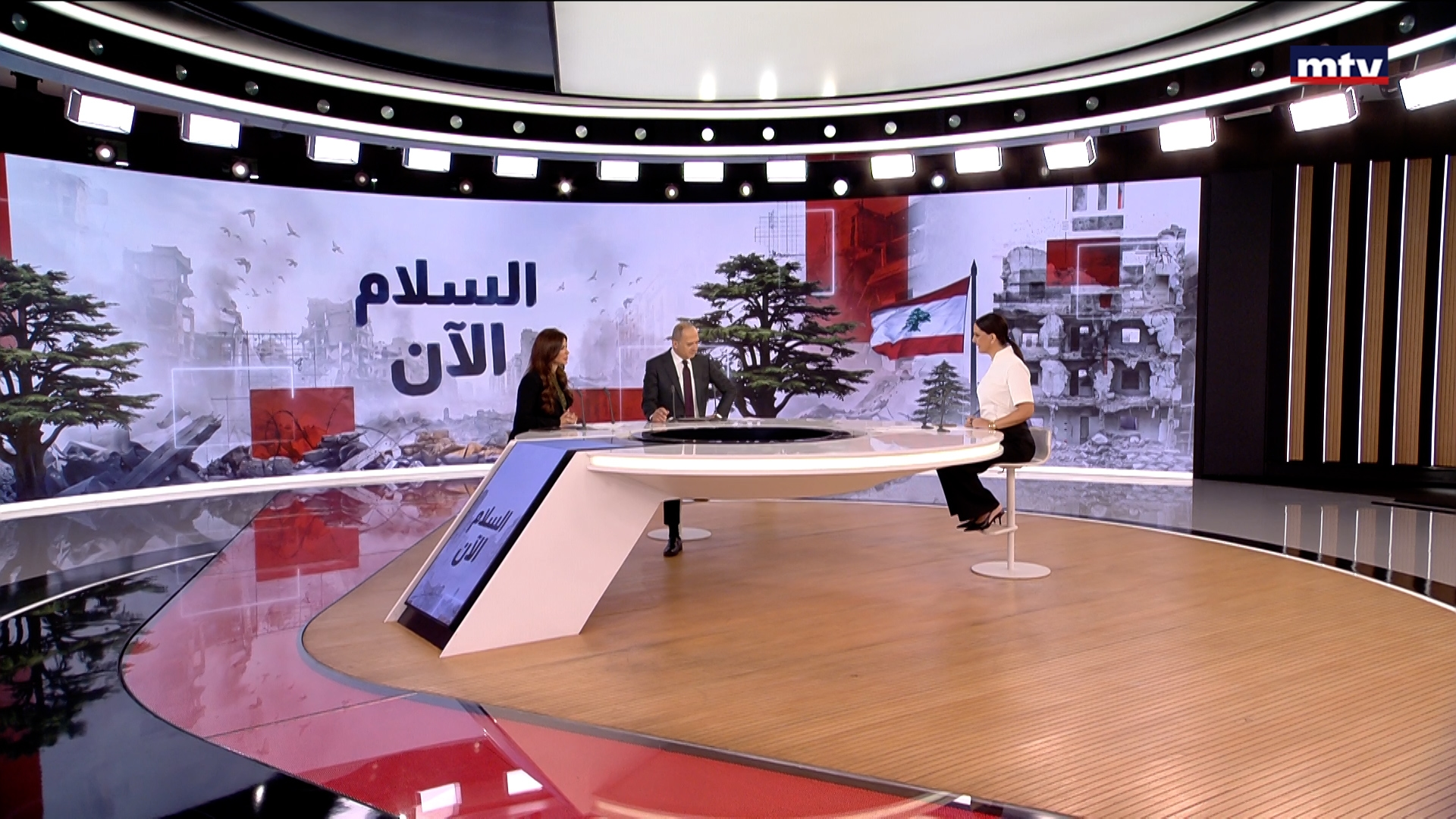 سياسة الدولة في الجنوب