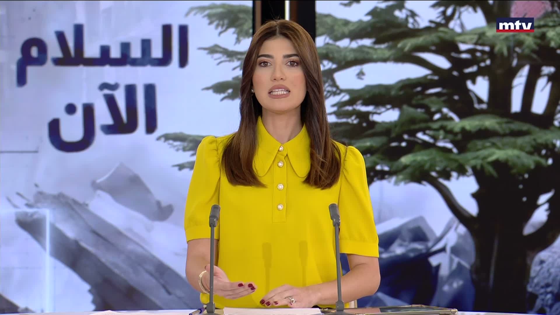 المقدمة