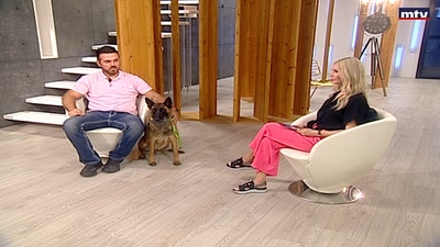 Joe Sandouk - Malinois Breed