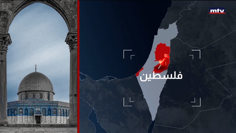 النشرة الكاملة