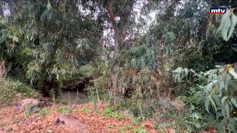 النشرة الكاملة