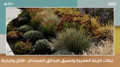 Ornamental Grasses and Sustainable Landscaping - Edibility and Appeal