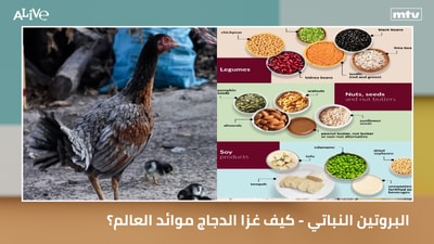 Plant-Based Protein - How Did Chicken Conquer the World's Tables?