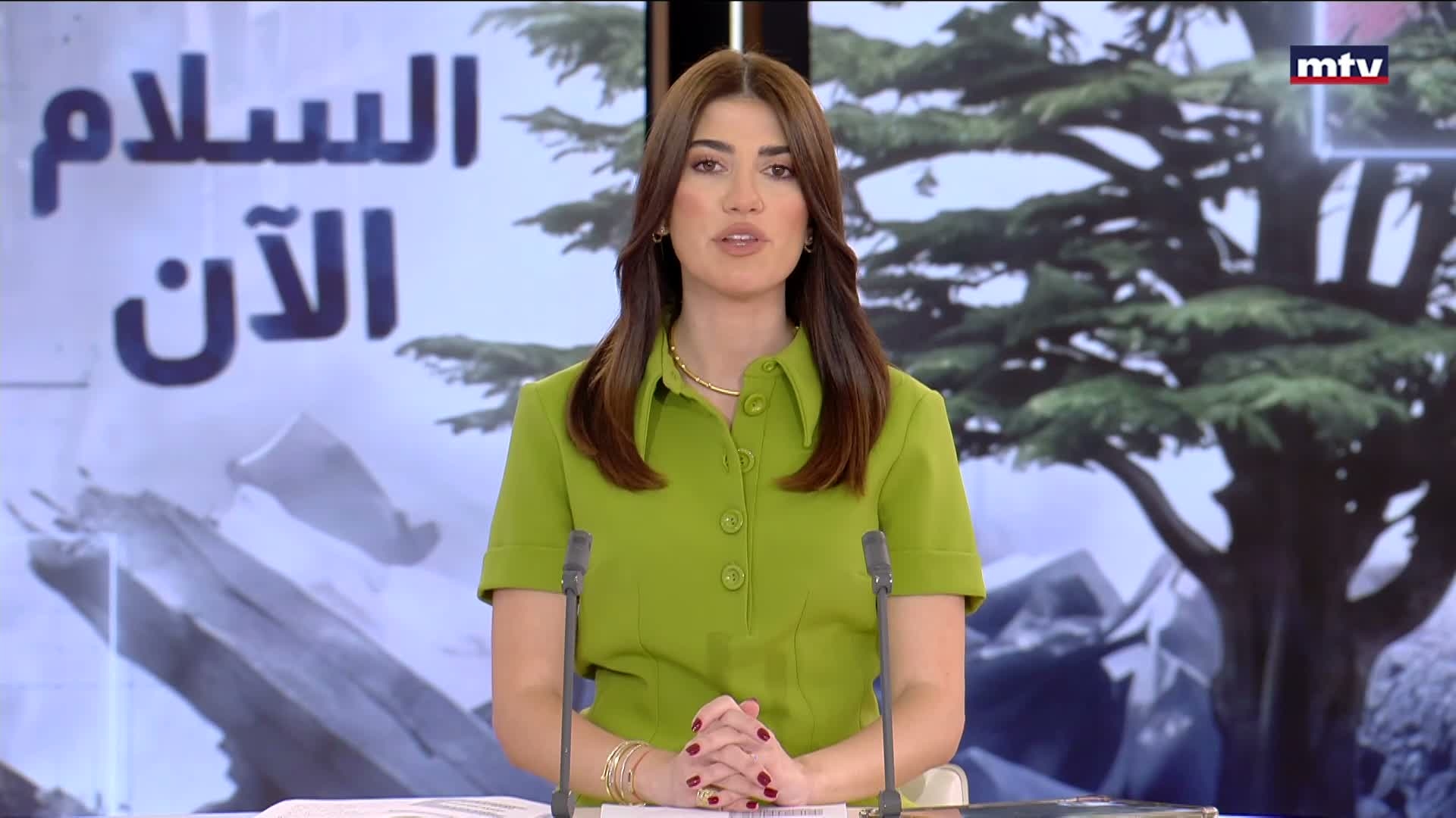 المجلس الدستوري يردّ الطعن بقانون العفو العام