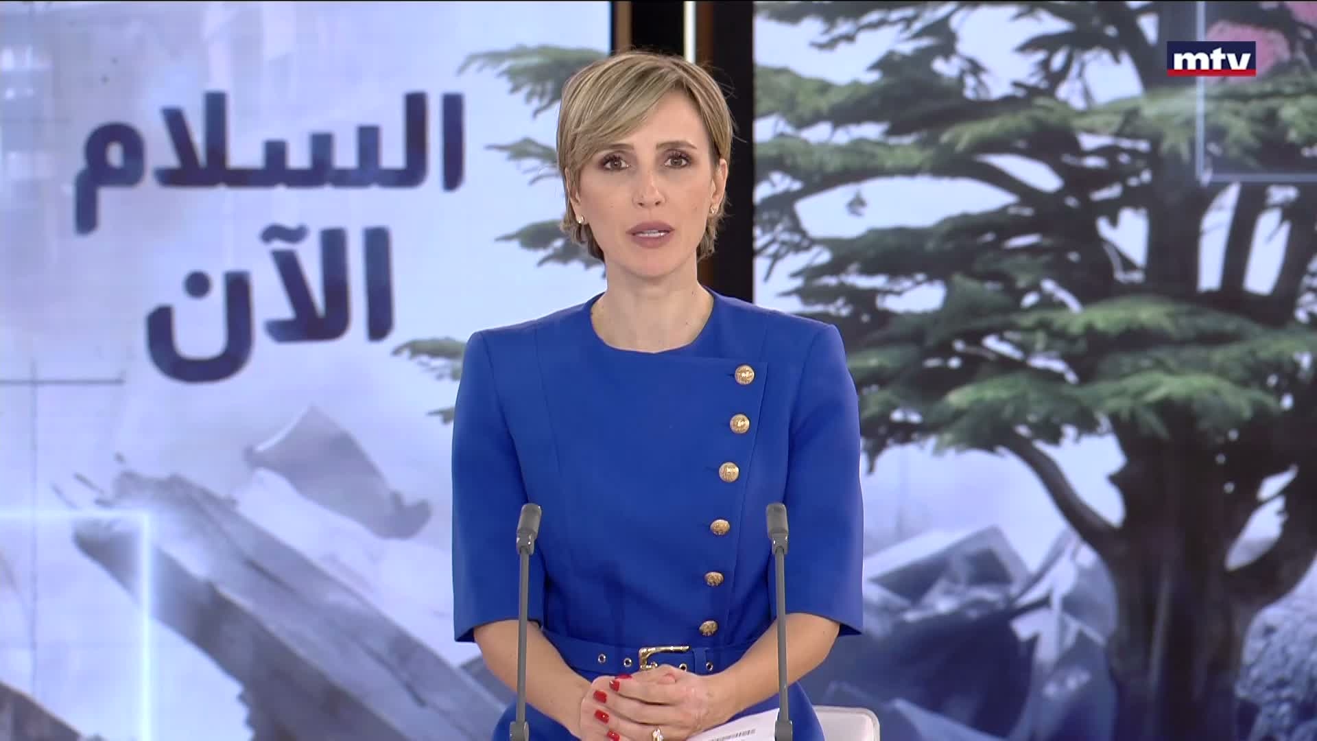 رئيس مجلس النواب نبيه بري