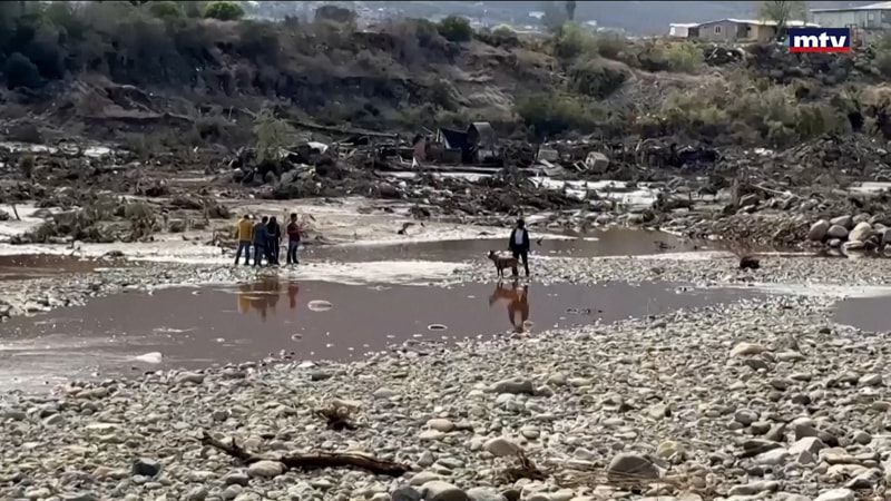 النشرة الكاملة