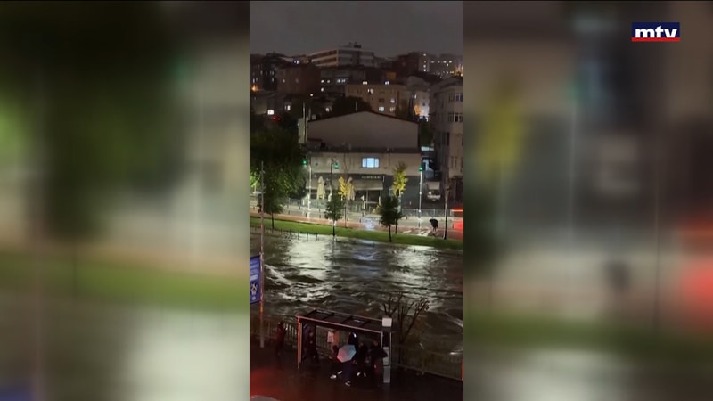 النشرة الكاملة