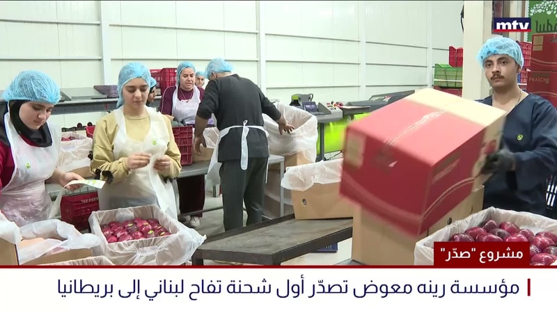 النشرة الكاملة