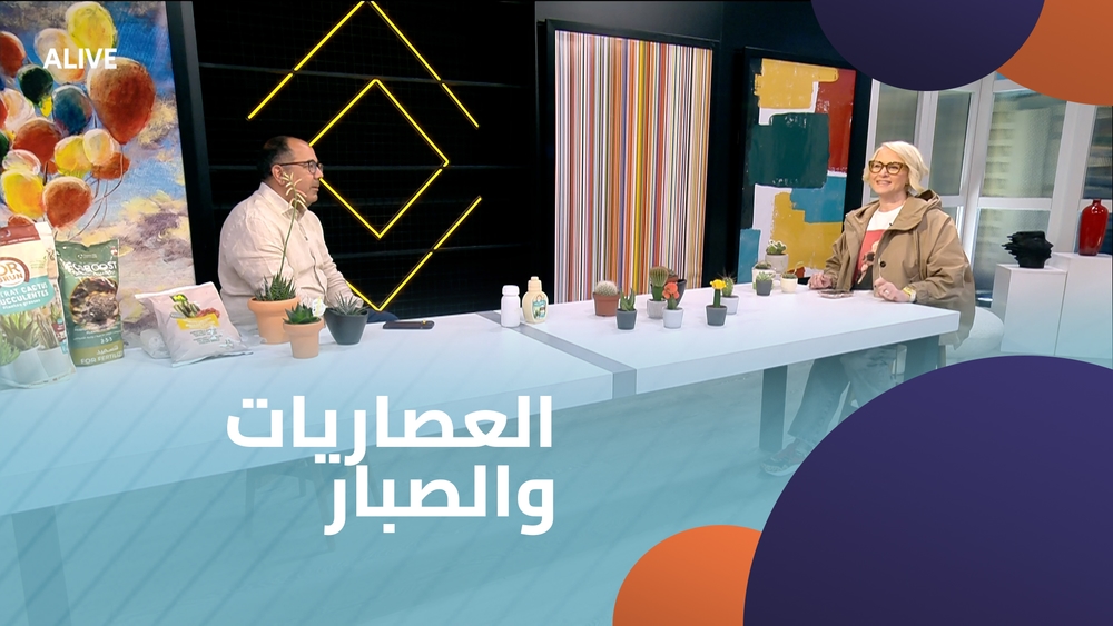 العصاريات والصبار
