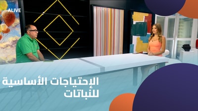 Basic needs of plants