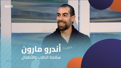 Andrew Maroun - Dog and Child Safety