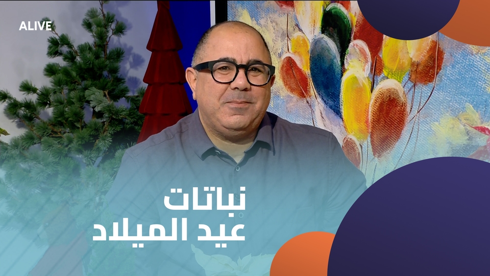 نباتات عيد الميلاد