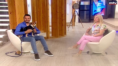 Mohamad Al Achi - Saving Dumped pets