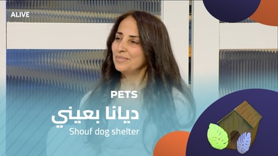 Diana Beaini - Shouf dog shelter