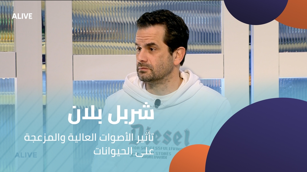 Charbel Blanc - The effect of loud and disturbing noises on animals