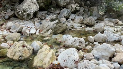 18 Sep 2021 - A Trip To Nahr Ibrahim - Part 5