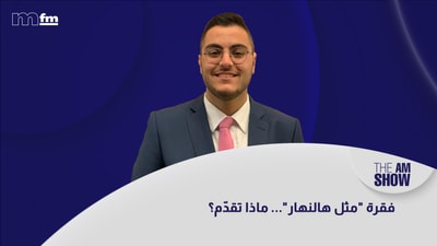 هادي أبو الحسن - مروان الأمين