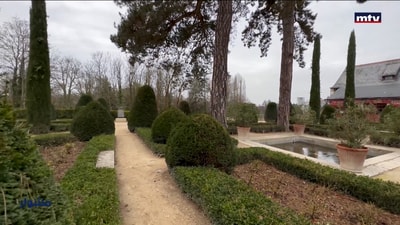 A trip to Châteaux de la Loire - Part 2